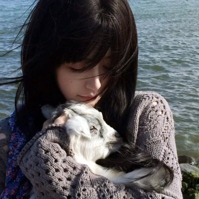 芙蓉仙子